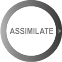 Assimilate Scratch9英文