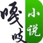 嘎吱小說(shuō)app