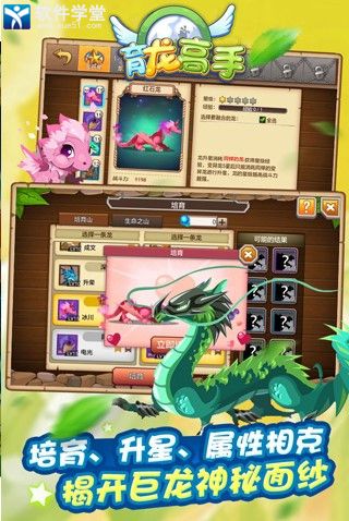 育龍高手qq登錄版