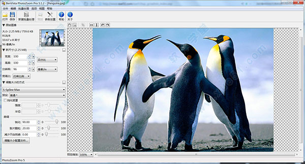 photozoom pro 5破解版