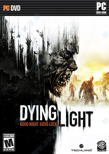 消逝的光芒(dying light)