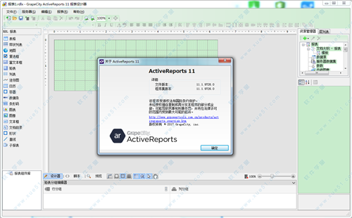 ActiveReports11中文版