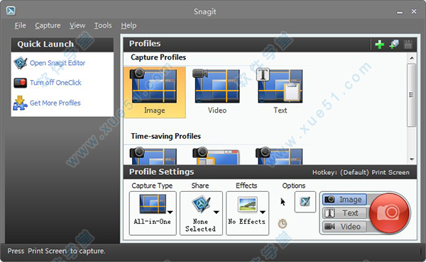 snagit 11綠色版