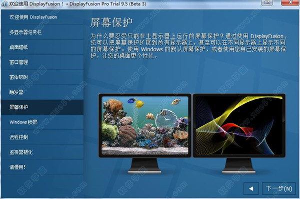 DisplayFusion Pro 9.5中文破解版