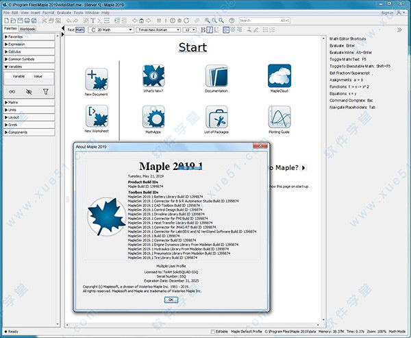 MapleSoft Maplesim 2019.1破解版