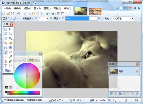 Paint.NET 2019中文免費(fèi)版