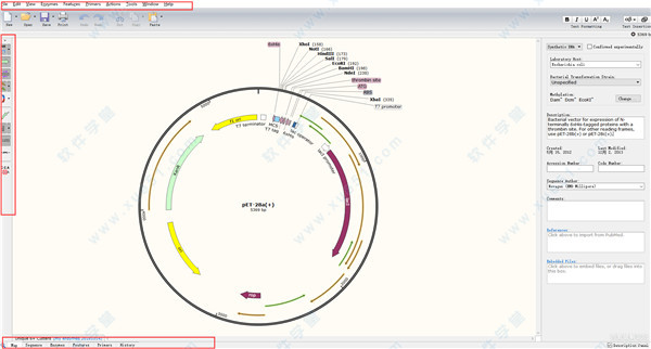 snapgene(分子生物學(xué)軟件) v4.1.9破解版