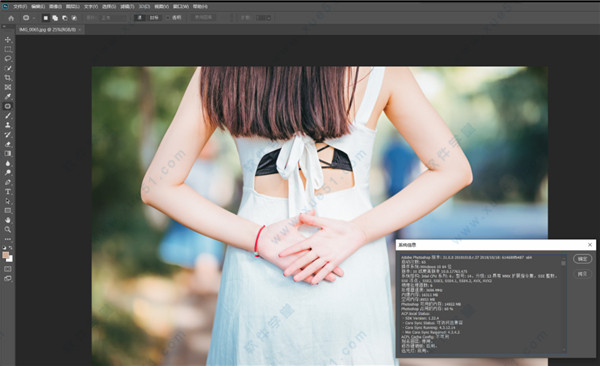 Adobe Photoshop(PS) 2020