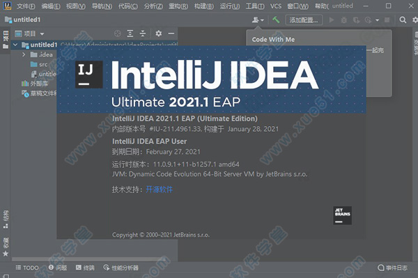 IntelliJ IDEA Ultimate 2021