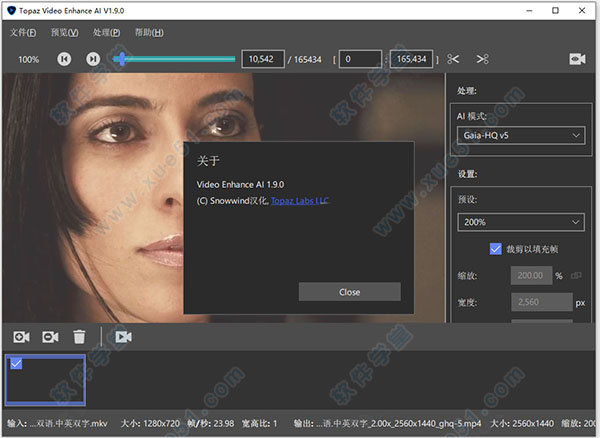 topaz video enhance ai 1.9簡體中文破解版